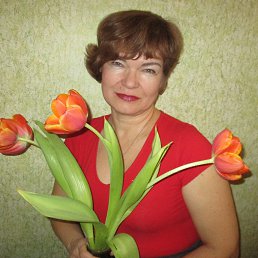 , 59, 