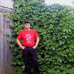 , 39,  