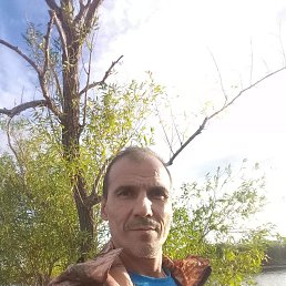 , 48 , 