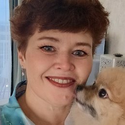 �������, ���������, 52 ����