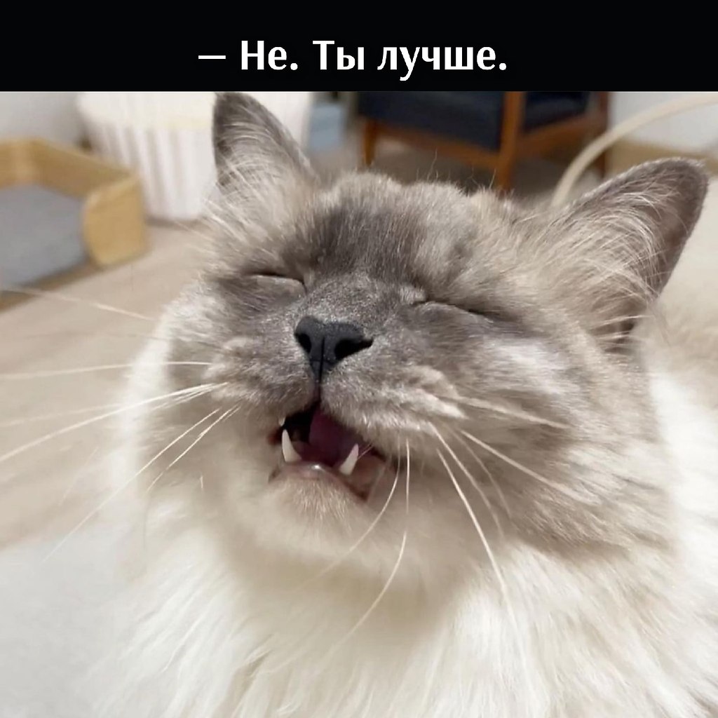 =»» - 3