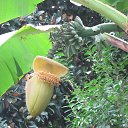 ���� Mila, ���� - ��������� 4 ������ 2025 � ������ ������ ��������