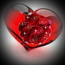 ���� ����, ������, 50 ��� - ��������� 9 ������ 2023