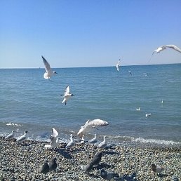 �������, ������-��-����, 74 ����