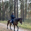 ���� ������, �������, 63 ���� - ��������� 4 ������� 2024 � ������ ���� ����������