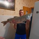 ���� ������, ������, 54 ���� - ��������� 7 ������� 2026 � ������ ���� ����������