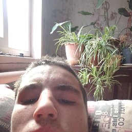 ����, ���������, 21 ���