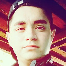 �����, ��������, 27 ���