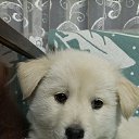 ���� �������, �����������, 48 ��� - ��������� 20 ������ 2025 � ������ ������ ��������