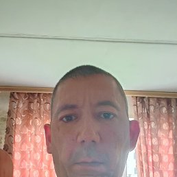 ������, ������� ������, 40 ���