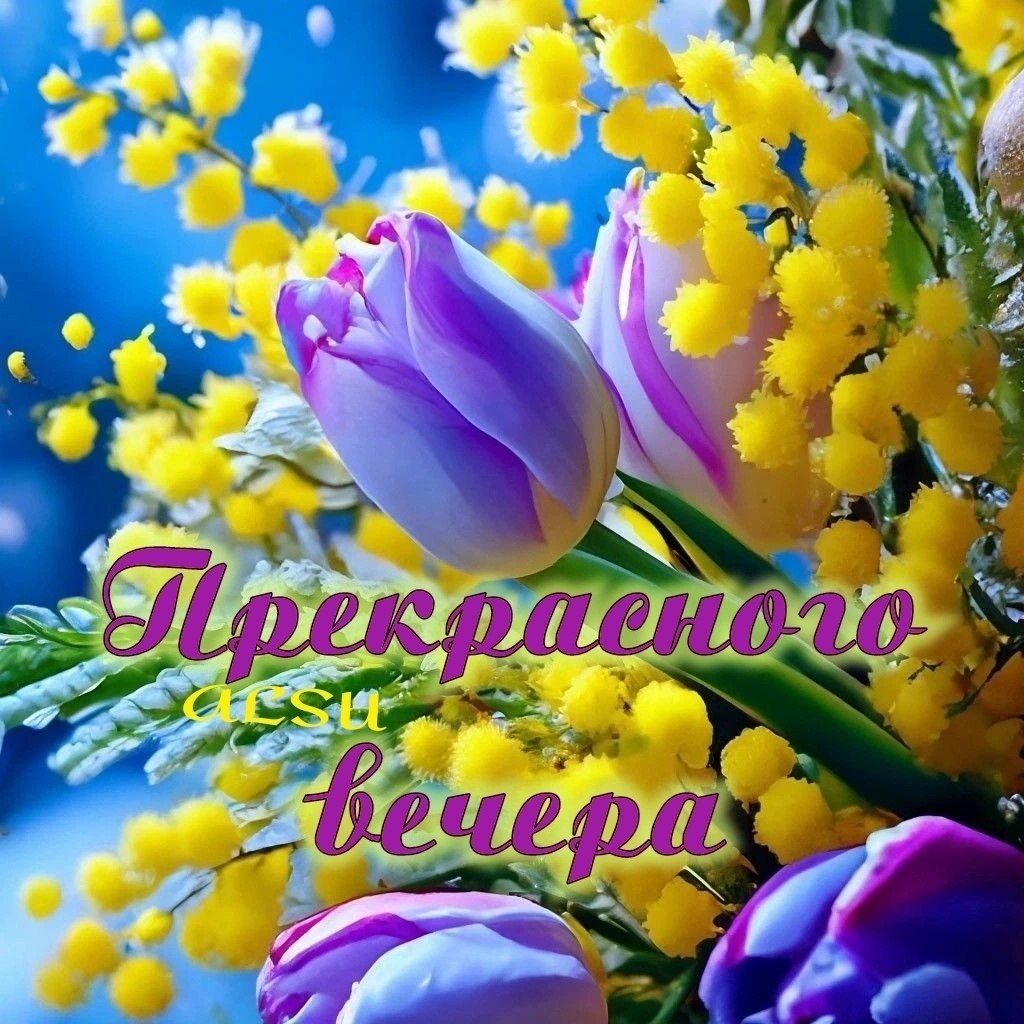 ����������� � ���������, �������� �� ������ ����. - 7 ��� 2026 � 17:00