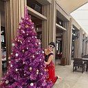 ���� �������, ����������, 51 ��� - ��������� 27 ���� 2026 � ������ ���� ����������