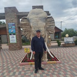 , 49 , 