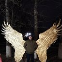 ���� ����, ������, 40 ��� - ��������� 22 ������� 2023 � ������ ���� ����������