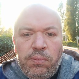 ����, ������, 43 ����