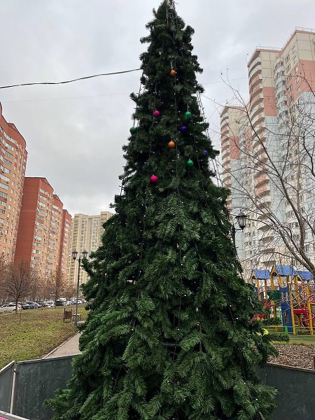 ���� ��� ������� ������ � �������� ������ ���� � �����������. - 3