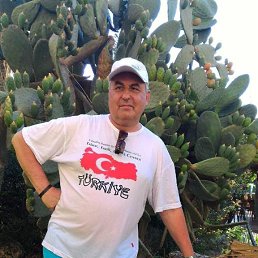 ���� �������, �����, 62 ���� - ��������� 5 ������ 2024