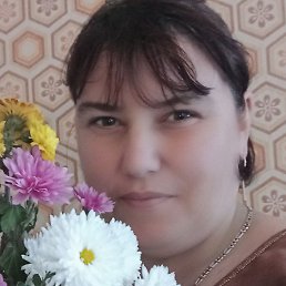 ������ �, ���������, 41 ���