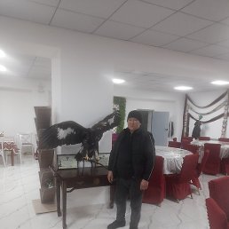 �����, ������, 44 ����