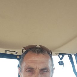 , 49 , 