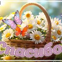 ���� ������, ������ - ��������� 9 ���� 2026 � ������ ������ ��������