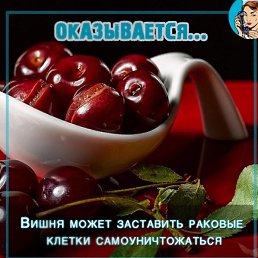 ����, ���������, 42 ����