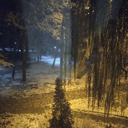 ���� ��������, ����������, 43 ���� - ��������� 28 ������ 2023