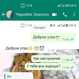 ���� �����, ������, 35 ��� - ��������� 20 ������ 2024