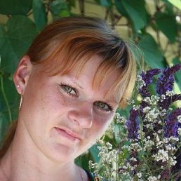 ���� �����, �����, 37 ��� - ��������� 13 ������� 2026