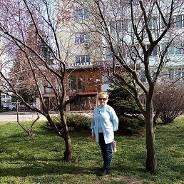 ����, �����, 69 ���