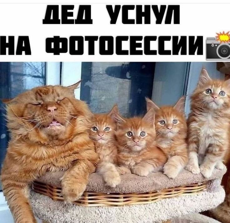 ��,��� � �������� �� ��������