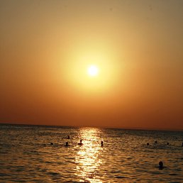 �������, ��������, 39 ���