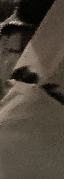 ���, ������, 38 ���