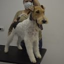 ���� �������, ����, 48 ��� - ��������� 5 ���� 2024 � ������ ���� ����������