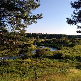 �����, ������, 47 ���