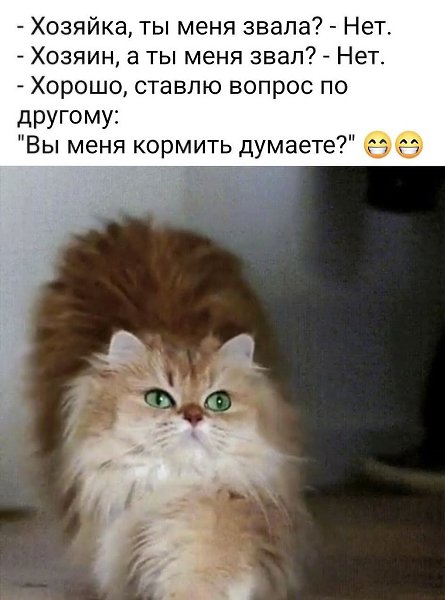 �������� ������ - 15 ���� 2025 � 17:54