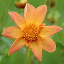  , --, 60  -  28  2025    