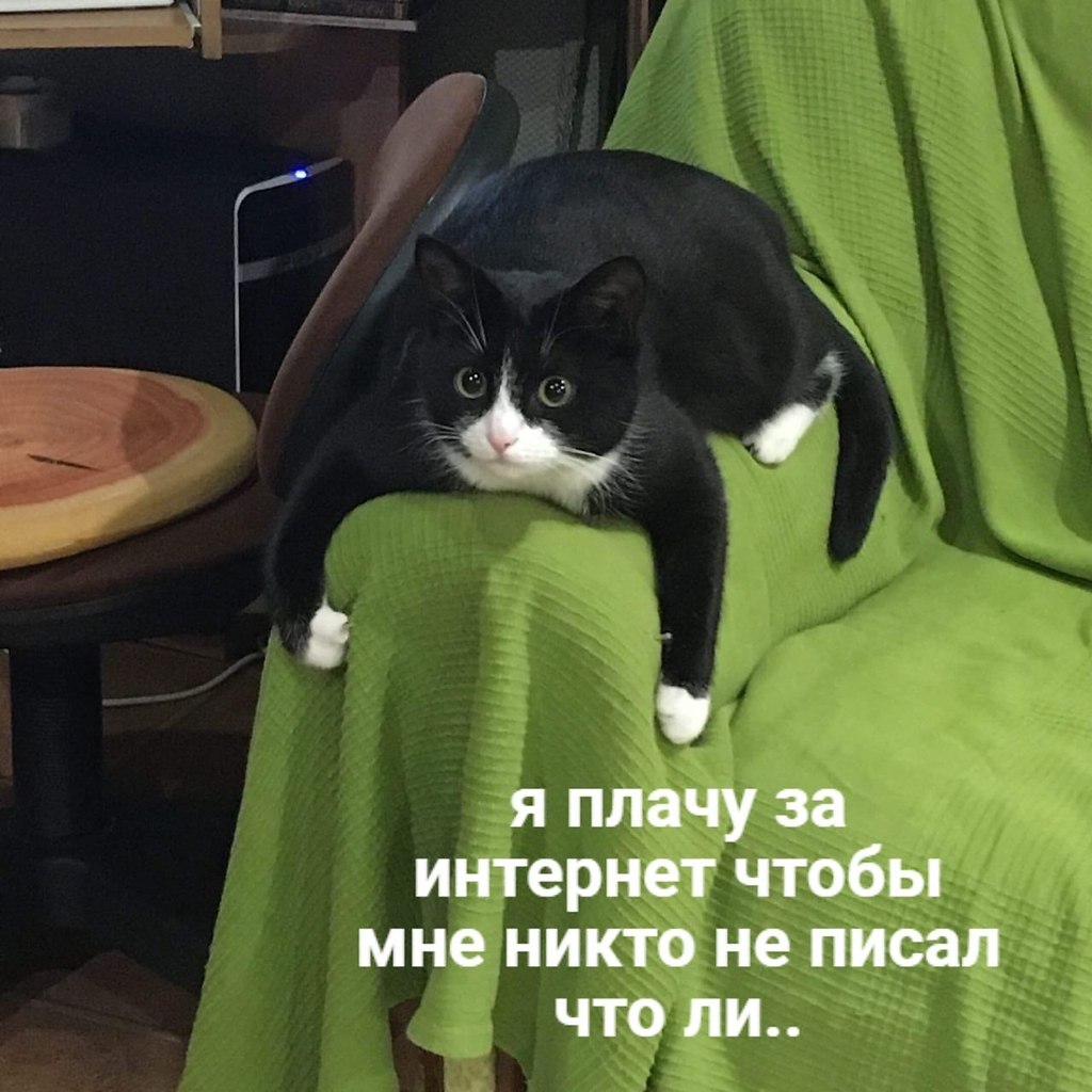    - 17  2024  06:25