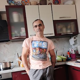   , 41, 
