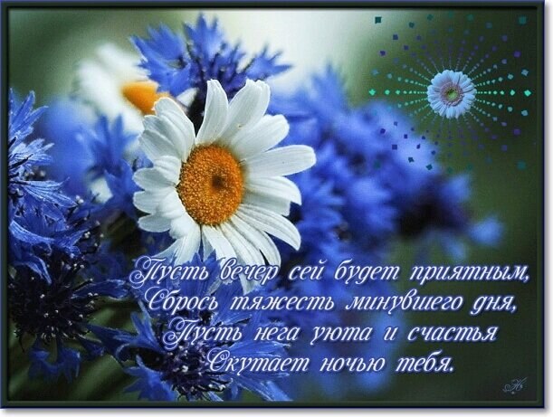  ,    . - 5  2024  19:58