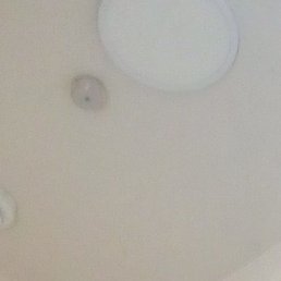 ���, �����, 49 ���