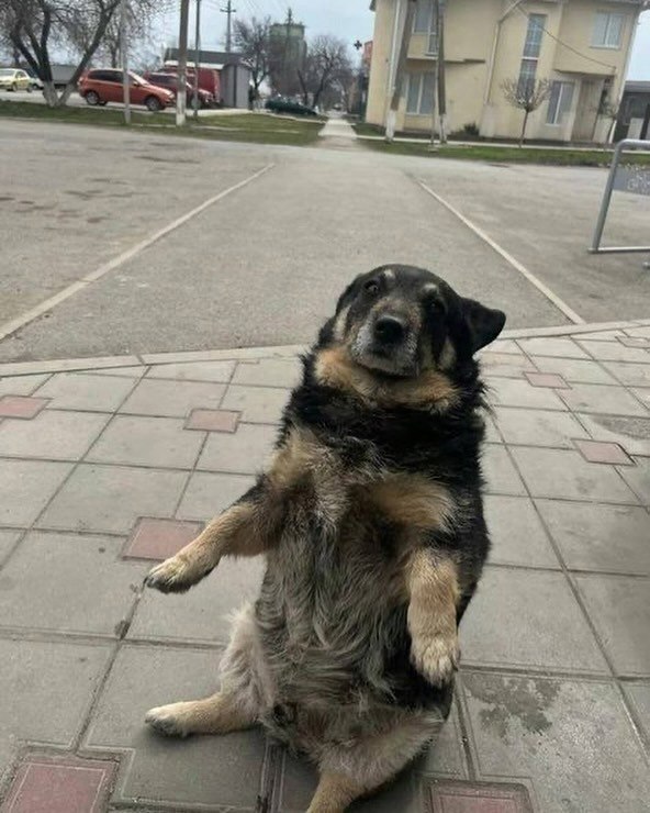 ���