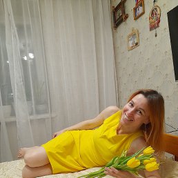 ���� �����, ������, 48 ��� - ��������� 12 ������ 2026