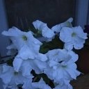 ���� ���� � �������� �� ���������� ..., ����� - ��������� 13 ������ 2025 � ������ ���� ����������