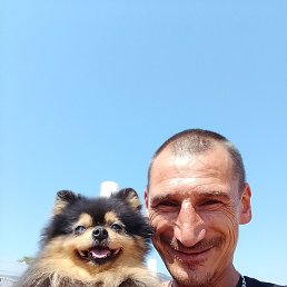 ������� �����, ������, 40 ���