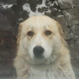 ���� �������, ������, 45 ���