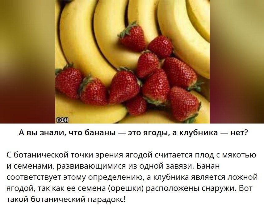   - 13  2025  17:35