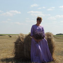 ****�������****, ���������