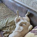 ���� ������, ������, 46 ��� - ��������� 12 ������ 2025 � ������ ������ ��������