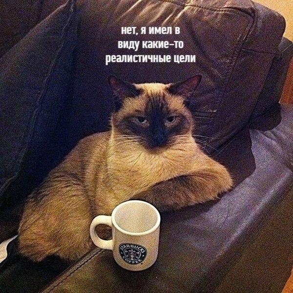 ��� ������� - 3